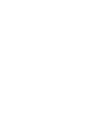 apple icon